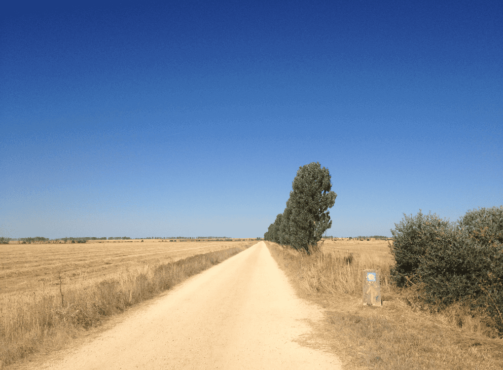 Ein schnurgerader, unbefestigter Weg führt durch weite Felder bis zum Horizont – Sinnbild für den Heilungsweg, der sich Schritt für Schritt zeigt und im Gehen entsteht.