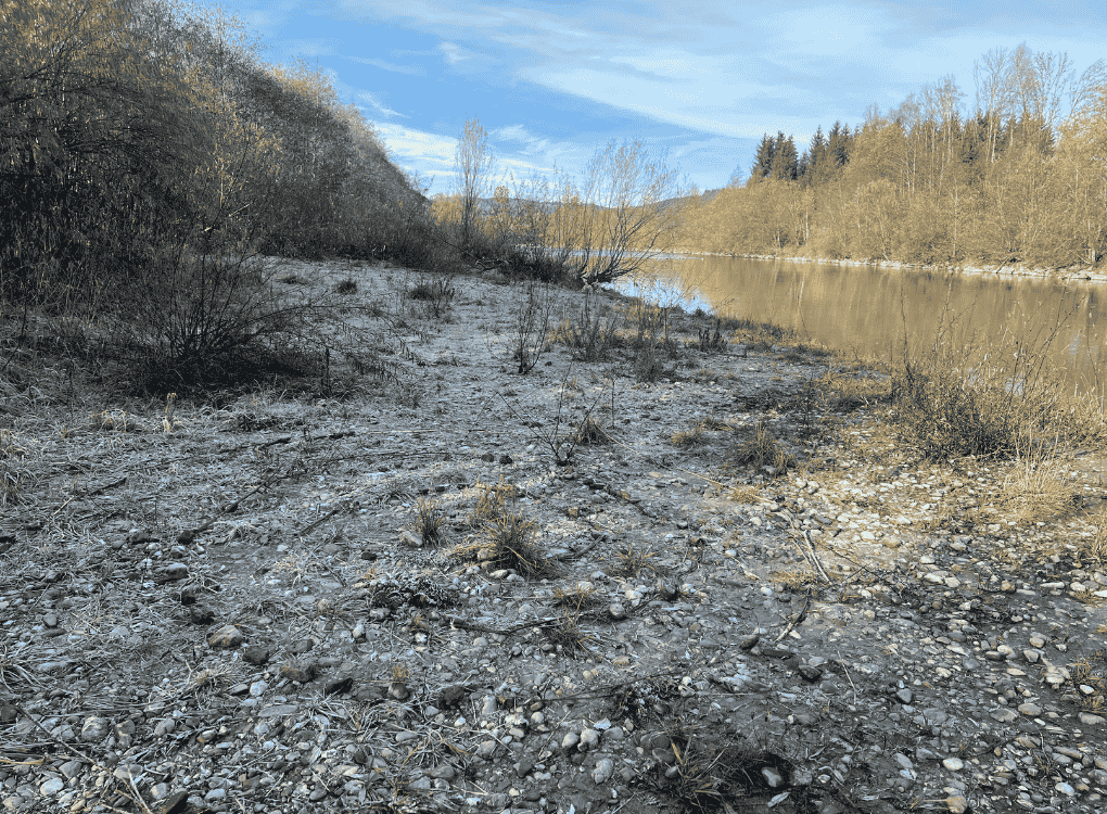 Die Spirale gelegt aus Naturmaterialien in drei Ringen. In der Mitte ist der Dreiklang symbolisiert durch 3 Pflanzen.
