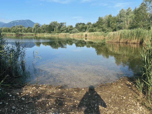 Der Fledermausweiher - mein Qi Gong Platz, wann immer das Wetter es zulässt.