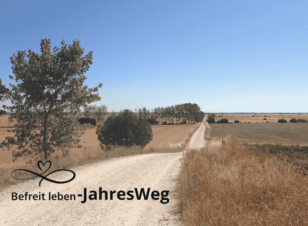 Der "Befreit leben - JahresWeg" - die einjährige Begleitung in überschaubaren Schritten mit Integrationszeiten, damit der Körper mitkommt.