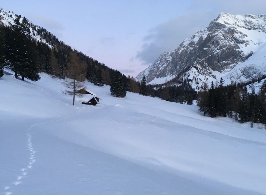 Hier ist die 2. Alm, wo die große Wiese beginnt. Auf der Hälfte des Weges bis zum Waldrand, stehen 2 Lärchen allein - ein guter Wegweiser im Winter.