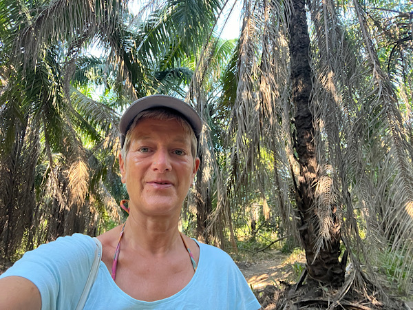 Die Palmen sehen hier anders aus als ich es gewohnt bin. Das vertrocknete Gestrüpp hängt noch an den Stämmen – ein wilder, ungefilterter Anblick. 