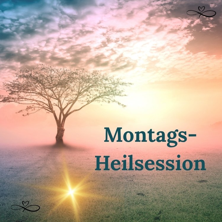 Montags-Heilsession mit Vera Wollenweber – einsamer Baum im Morgenlicht als Symbol für Stille Heilung und Neuanfang