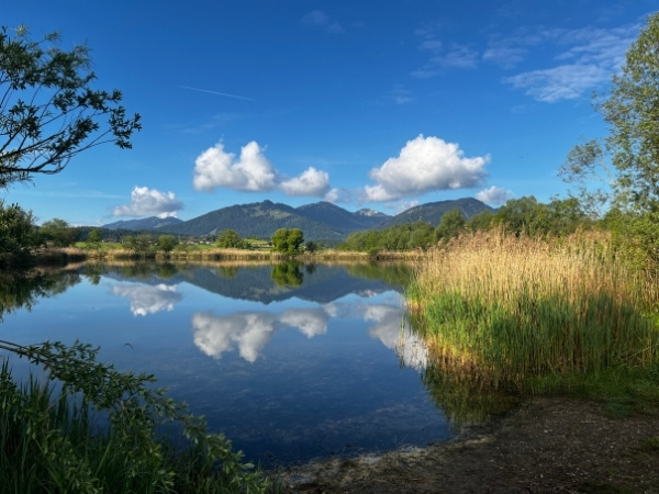 Stiller Weiher im Allgäu mit blauem Himmel, weißen Wolken und Bergen, die sich im Wasser spiegeln.